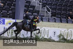 25R13_11923 thumbnail