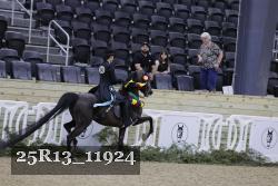 25R13_11924 thumbnail