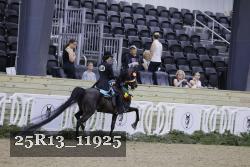 25R13_11925 thumbnail