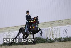 25R13_11927 thumbnail