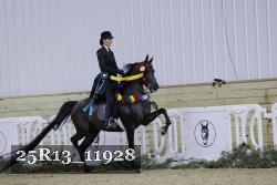 25R13_11928 thumbnail