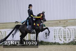 25R13_11929 thumbnail