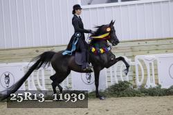 25R13_11930 thumbnail
