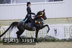 25R13_11931 thumbnail