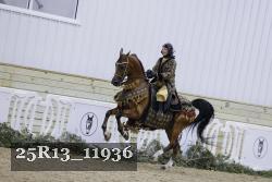 25R13_11936 thumbnail