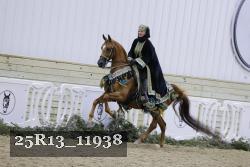 25R13_11938 thumbnail