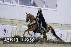 25R13_11939 thumbnail