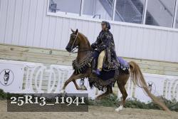25R13_11941 thumbnail