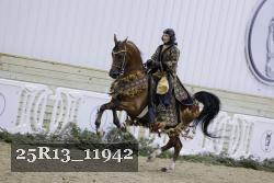 25R13_11942 thumbnail