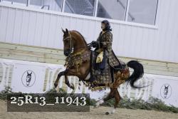 25R13_11943 thumbnail