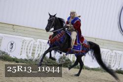 25R13_11944 thumbnail