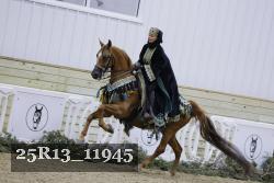 25R13_11945 thumbnail