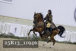 25R13_11946 thumbnail