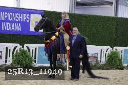 25R13_11949 thumbnail