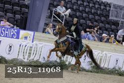 25R13_11968 thumbnail