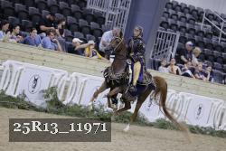 25R13_11971 thumbnail
