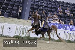 25R13_11973 thumbnail