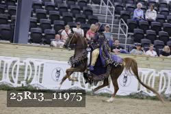 25R13_11975 thumbnail
