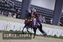 25R13_11981 thumbnail