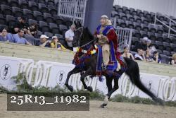 25R13_11982 thumbnail