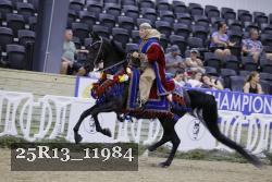 25R13_11984 thumbnail