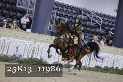 25R13_11986 thumbnail