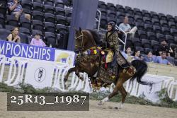 25R13_11987 thumbnail