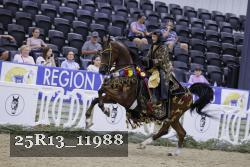25R13_11988 thumbnail