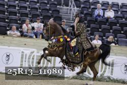 25R13_11989 thumbnail