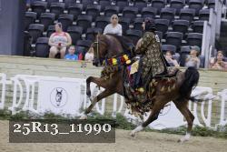 25R13_11990 thumbnail