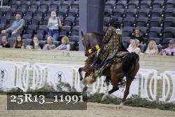 25R13_11991 thumbnail