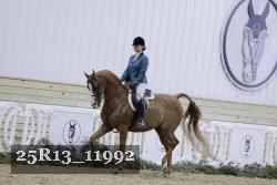 25R13_11992 thumbnail