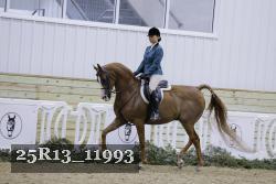 25R13_11993 thumbnail