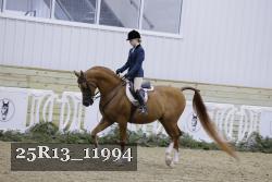 25R13_11994 thumbnail
