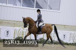 25R13_11995 thumbnail