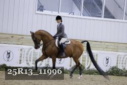 25R13_11996 thumbnail