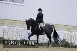 25R13_11997 thumbnail