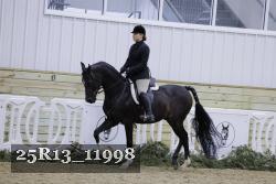 25R13_11998 thumbnail