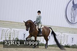 25R13_11999 thumbnail
