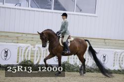 25R13_12000 thumbnail