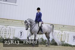 25R13_12001 thumbnail