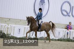 25R13_12007 thumbnail