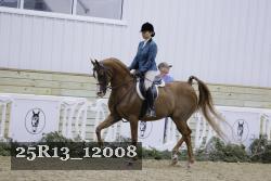 25R13_12008 thumbnail