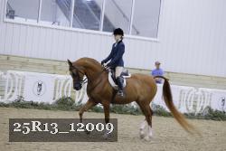 25R13_12009 thumbnail