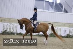 25R13_12010 thumbnail