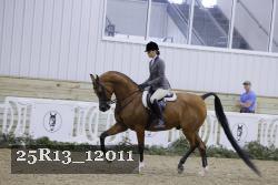 25R13_12011 thumbnail