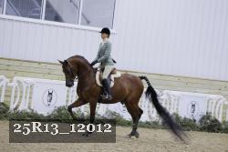 25R13_12012 thumbnail