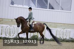 25R13_12013 thumbnail