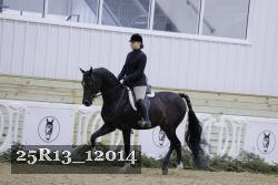 25R13_12014 thumbnail