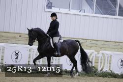 25R13_12015 thumbnail